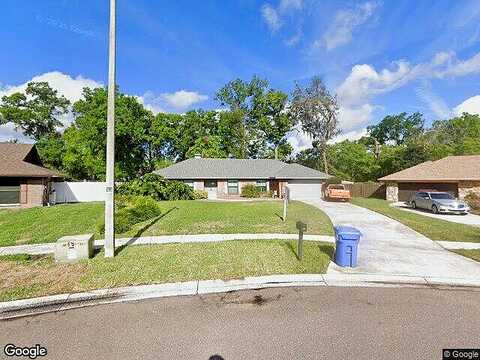 Wildwood Hollow, VALRICO, FL 33596