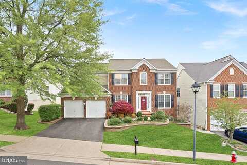 Douglas Fir, LORTON, VA 22079
