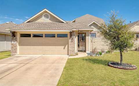 Arabian Colt, GEORGETOWN, TX 78626