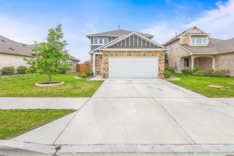 Arabian Colt, GEORGETOWN, TX 78626