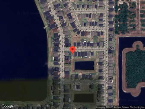 Cleyera, RIVERVIEW, FL 33579