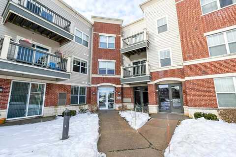 Sassafras, FITCHBURG, WI 53711
