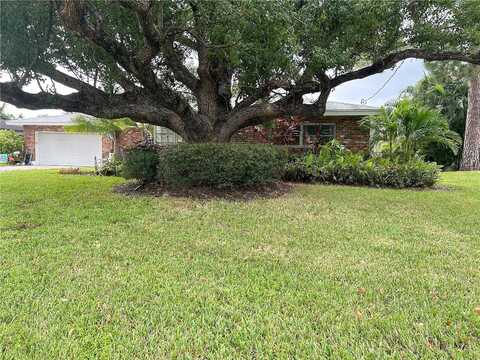 Walnut, SAINT PETERSBURG, FL 33704