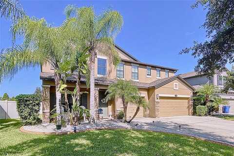 Palmetto Pine, RIVERVIEW, FL 33569