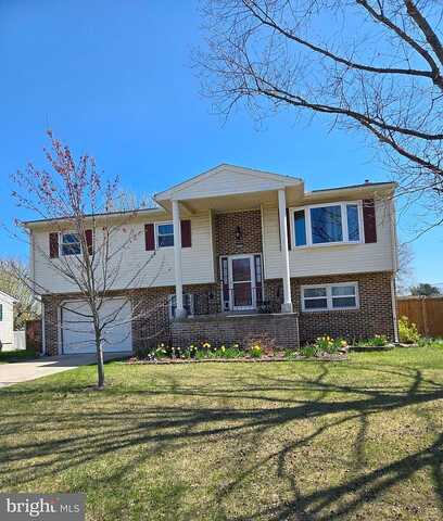 Rachel, CARLISLE, PA 17013