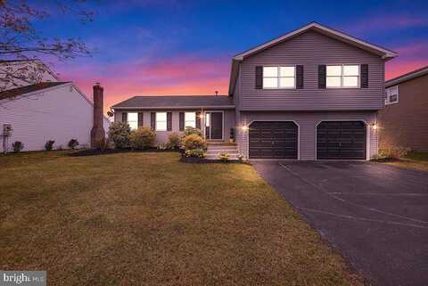 Alisan, READING, PA 19606