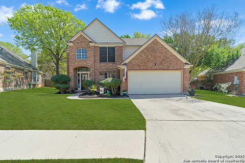 Tree Branch, Schertz, TX 78154