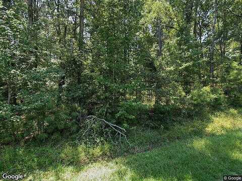 Lakeshore Drive, Hemphill, TX 75948