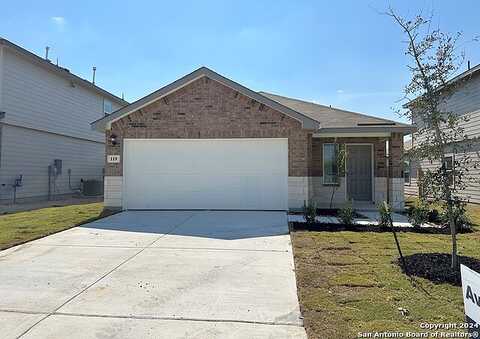 Little Owl, San Antonio, TX 78253