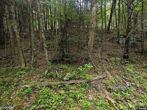 Bull Pasture River Rd, MCDOWELL, VA 24458