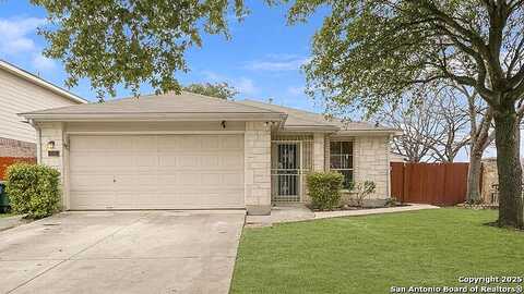 Bridle, San Antonio, TX 78227