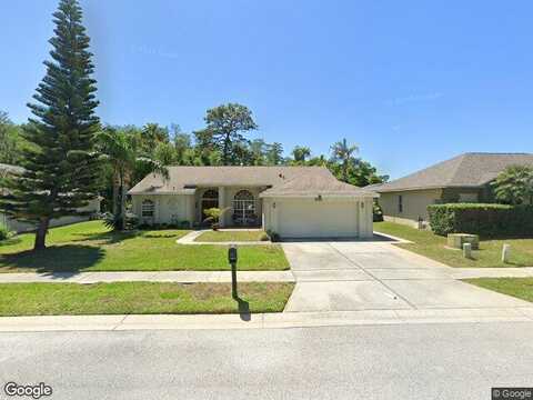 Yellowstone, NEW PORT RICHEY, FL 34655