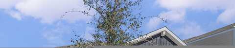 Alpine Bearberry Drive, Houston, TX 77016