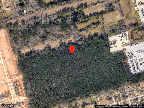 Diamond Carnation Drive, Conroe, TX 77301