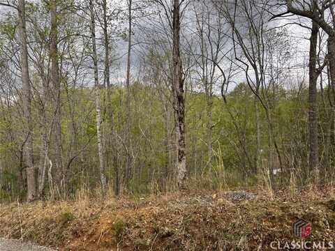 0 Aspen Court, Ellijay, GA 30540