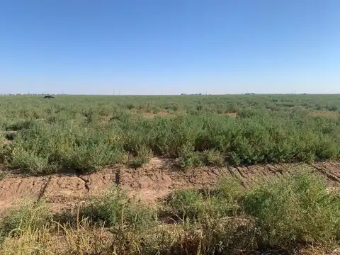 Bt14 Voorhees Road, Bushland, TX 79124