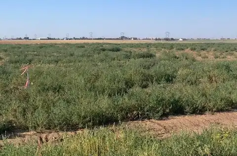 Bt17 Voorhees Road, Bushland, TX 79124