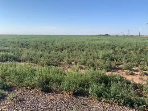 Bt24 Voorhees Road, Bushland, TX 79124