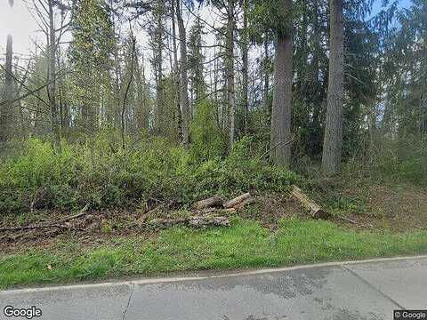 164Th (Homesite 46) Street Sw #A1, Lynnwood, WA 98087