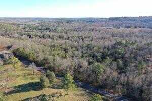 1395 MEIMORSTORF, Russellville, AR 72802