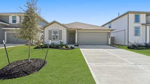 Canvasback, Orange, TX 77632