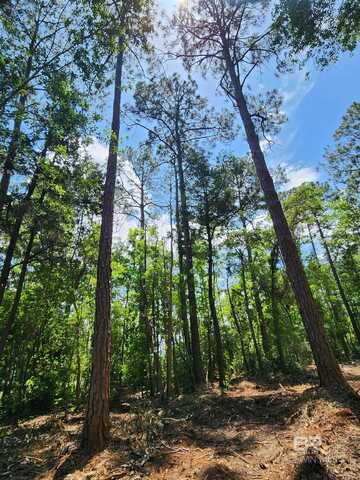 0 7th Street, Lillian, AL 36549