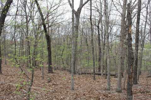 Tbd State Road F, Sunrise Beach, MO 65079