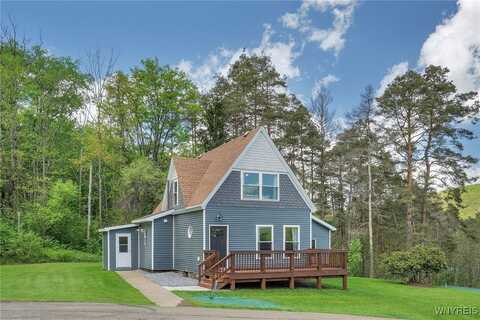 101 Hill Street, Little Valley, NY 14755