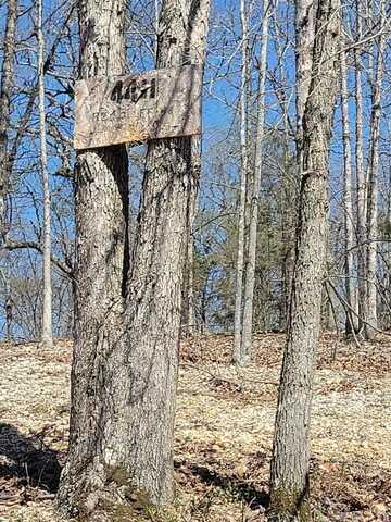 4411 Red Bluff Road, Marshall, AR 72650