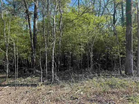 0 Gum Street (Tract 2), Sheridan, AR 72150