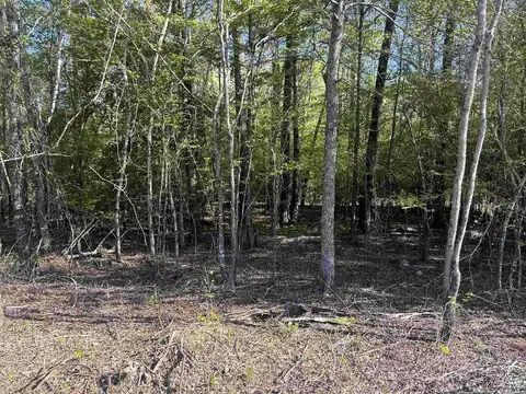 0 Gum Street (Tract 3), Sheridan, AR 72150