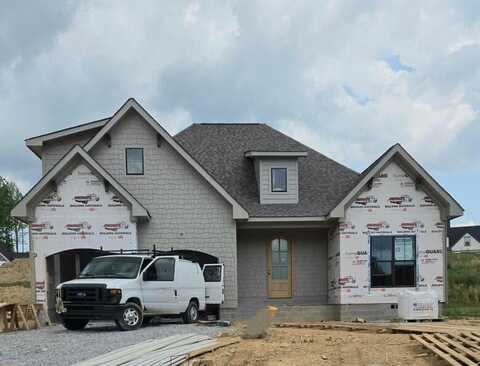 10597 Brownspring Drive, Apison, TN 37302