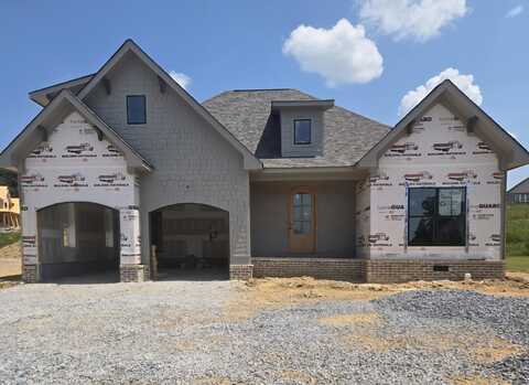 10597 Brownspring Drive, Apison, TN 37302
