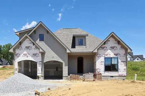 10597 Brownspring Drive, Apison, TN 37302