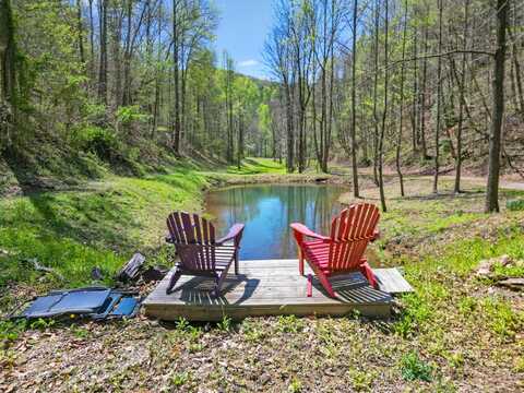 677 Kimsey Mountain Highway, Reliance, TN 37369