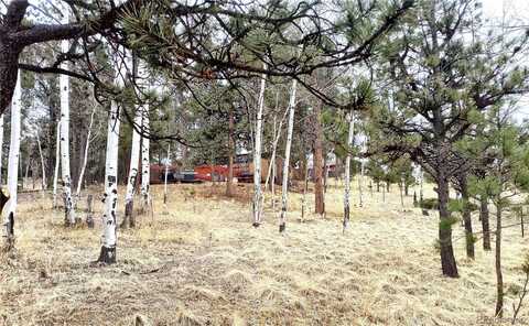 103 Adair Circle, Florissant, CO 80816