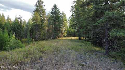 Nka N North Tahoe Drive, Spirit Lake, ID 83869