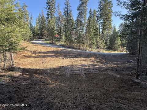 Holiday Way, LT 15, Hauser, ID 83854