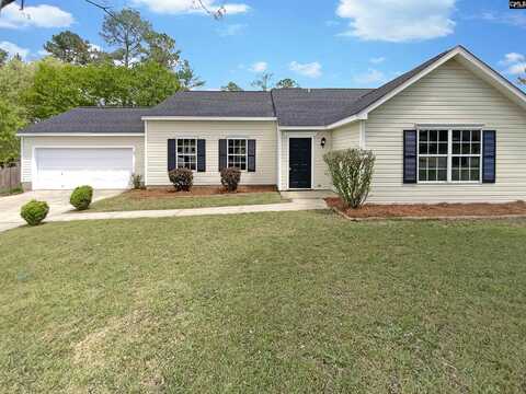 229 Ridgehill Drive, Lexington, SC 29073