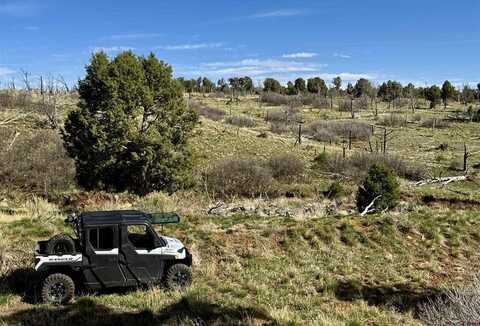 TBD CR 116, Hesperus, CO 81326