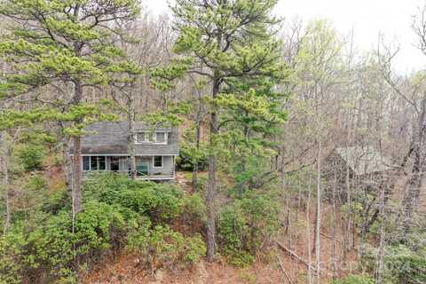 40 Tagalong Lane, Black Mountain, NC 28711