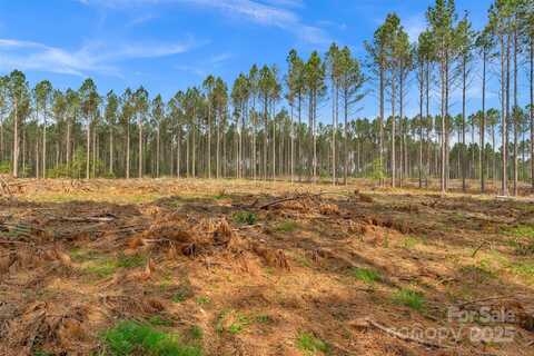 0 Lynn Road, Fort Lawn, SC 29714
