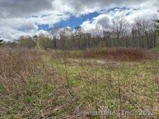 115 McBride Road, Litchfield, CT 06759