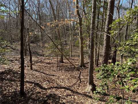 00 Sherwood Ridge Drive, Powhatan, VA 23139