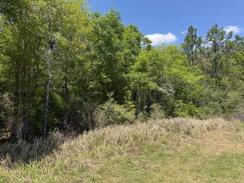 Tbd Picasso Ln, DeFuniak Springs, FL 32433