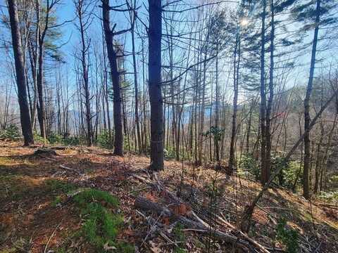 111 Digging Seng Trail, Waynesville, NC 28785