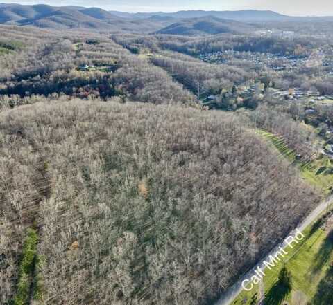 TBD CALF MOUNTAIN RD, WAYNESBORO, VA 22980