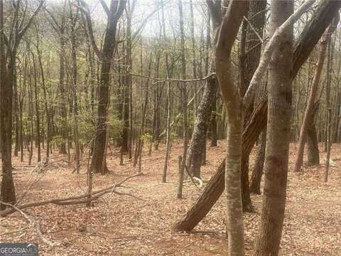 0 Bee Tree Ridge, Jasper, GA 30143