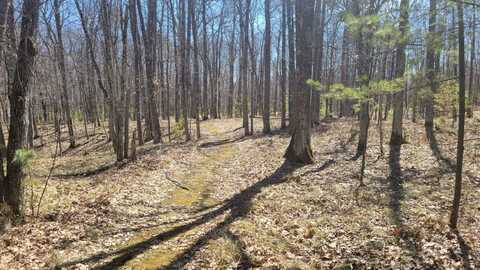 Lot C SWAN LAKE DR, Minocqua, WI 54548