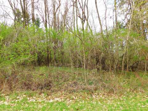 V/L Greyhawke Ridge, Niles, MI 49120